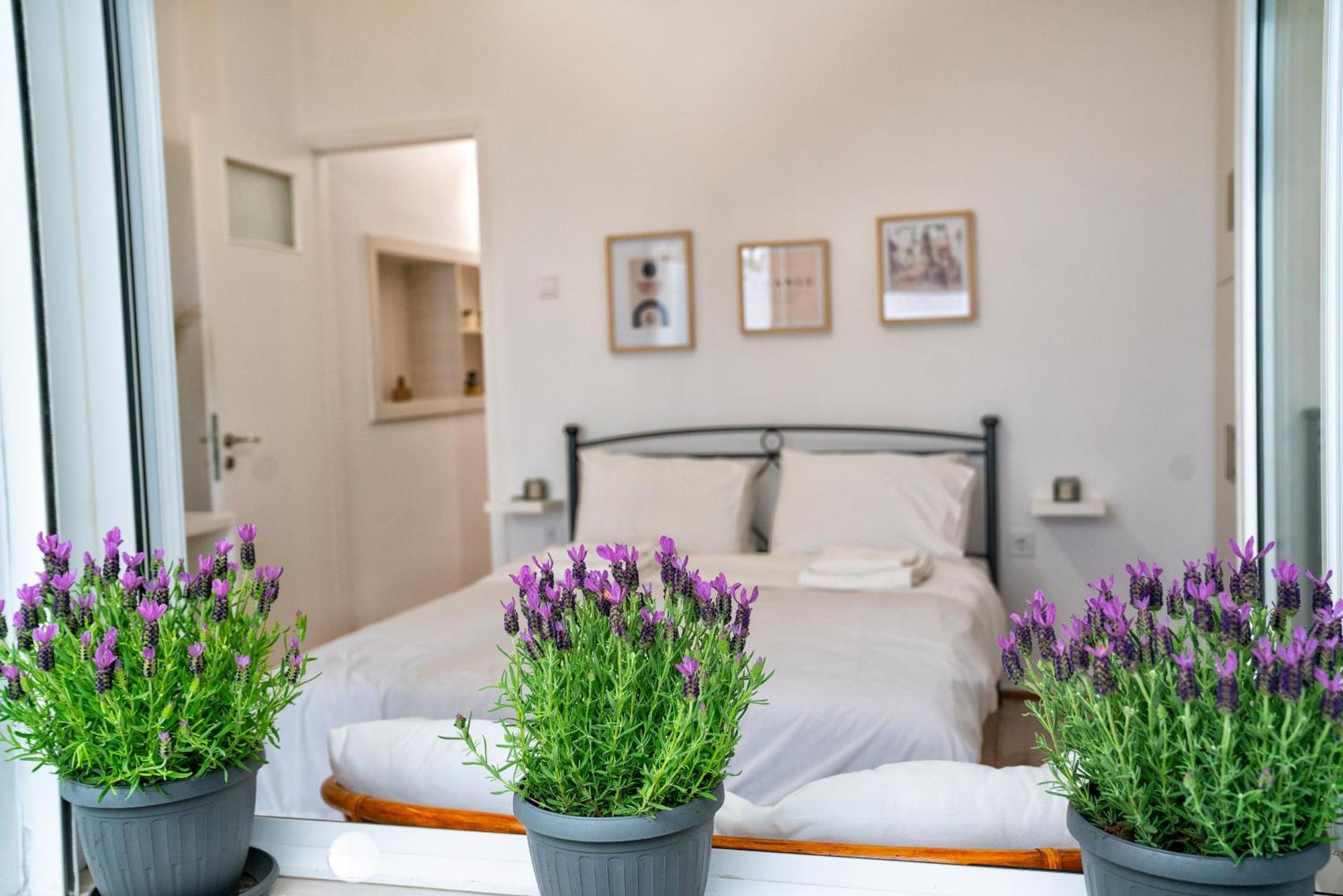 Lux Garden Apartment Near Acropolis In The Heart Of Athen Eksteriør billede